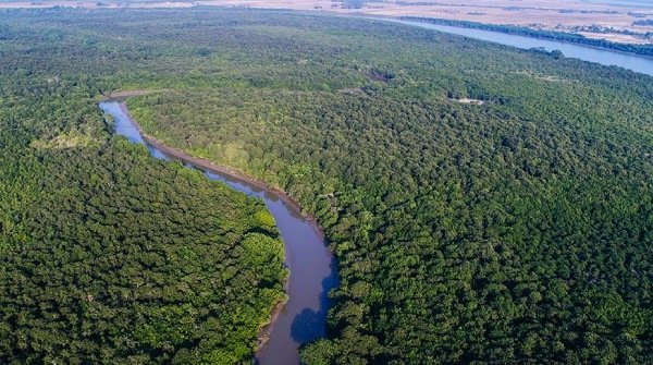 Wildlife Tour Package Odisha - Bhitarkanika by Cab Starts With ₹10000